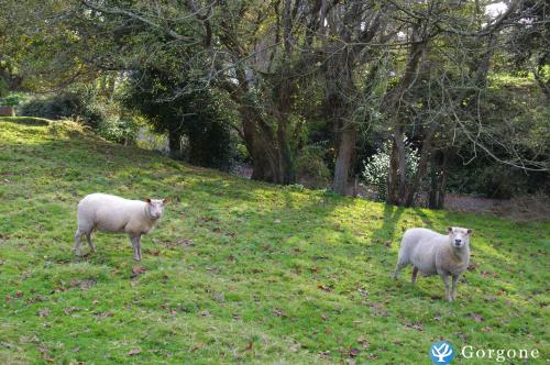 Photo n°10 de :gte de caractre  la campagne  3 km de Perros-Guirec
