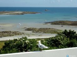 cliquez ici pour agrandir les photos de cette location à perros_guirec