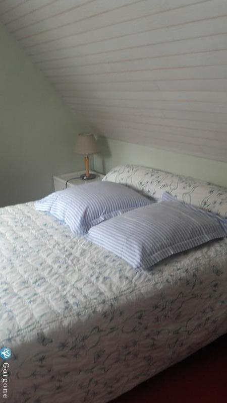Photo n°4 de :Duplex spacieux et ensoleill centre ville  
